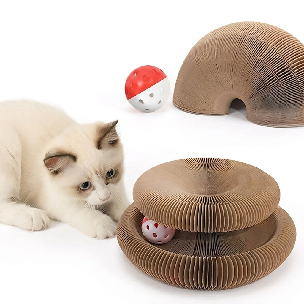 MirthPaw Magic Organ Cat Scratching Board – Foldable Interactive Scratcher Toy & Lounge Bed with Bell Ball