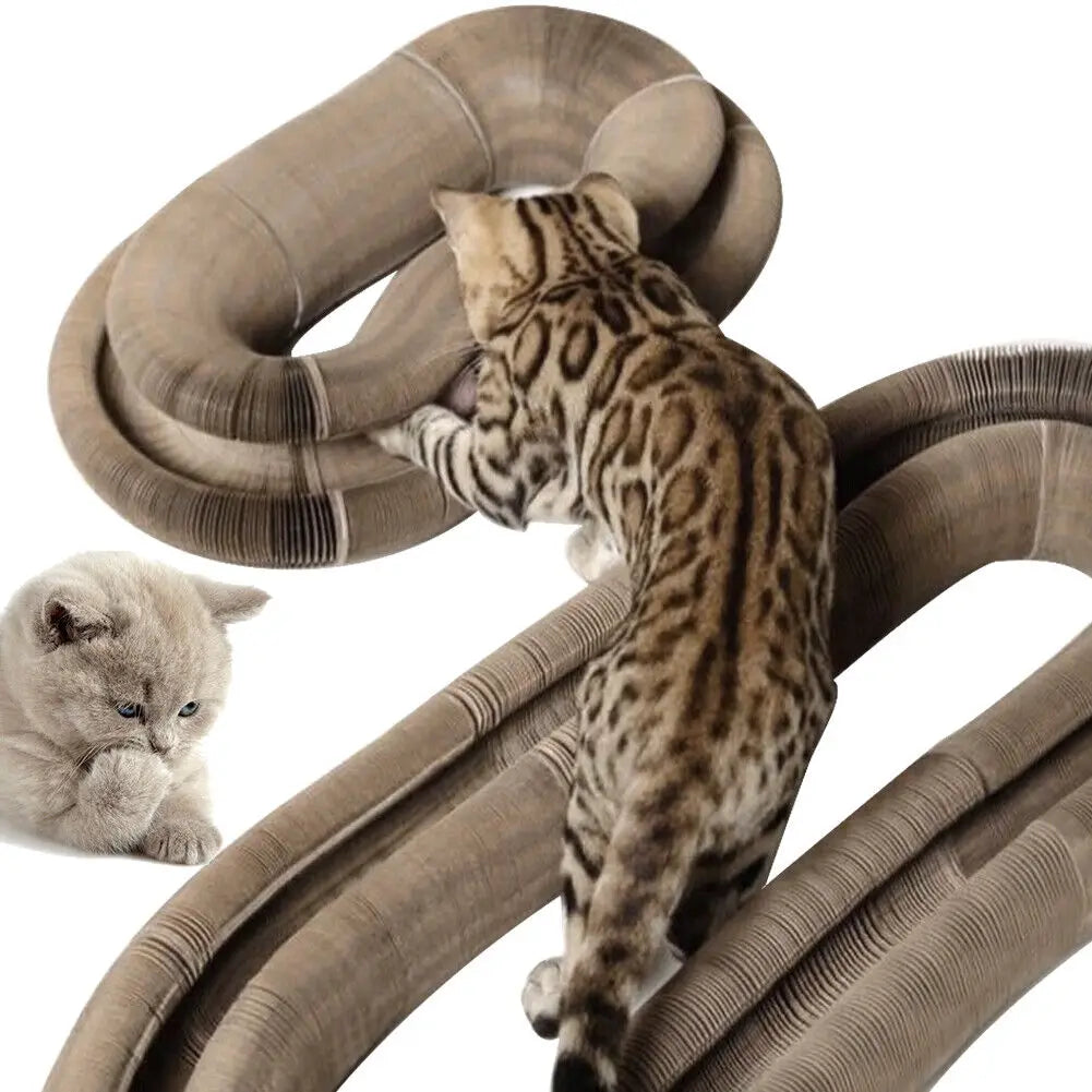 MirthPaw Magic Organ Cat Scratching Board – Foldable Interactive Scratcher Toy & Lounge Bed with Bell Ball