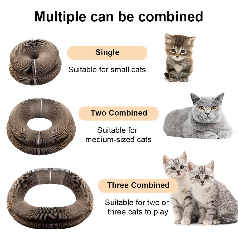 MirthPaw Magic Organ Cat Scratching Board – Foldable Interactive Scratcher Toy & Lounge Bed with Bell Ball
