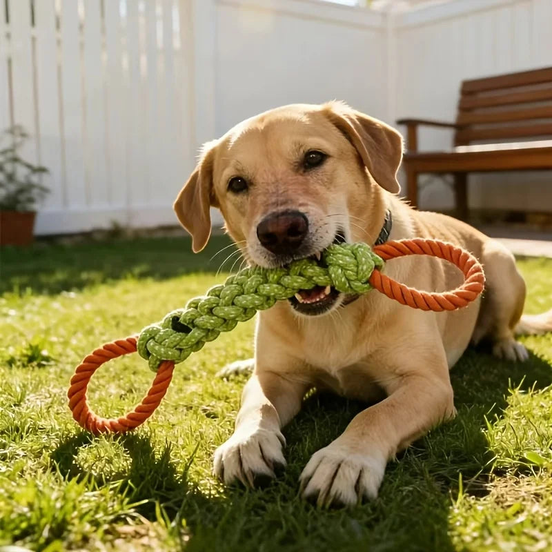 Large Durable Dog Knot Toy Chewy Pet Toy for Dental Care And Yard Play